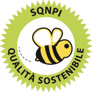 sqnpi